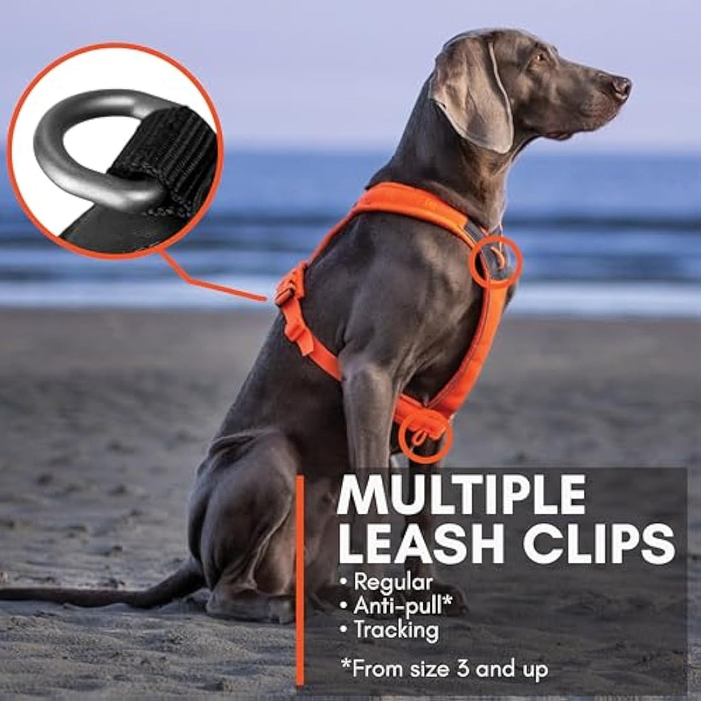 Non-stop Dogwear Line Harness – Adjustable Reflective Dog Harness, Orange