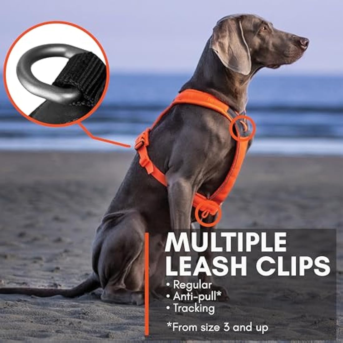 Non-stop Dogwear Line Harness – Adjustable Reflective Dog Harness, Orange