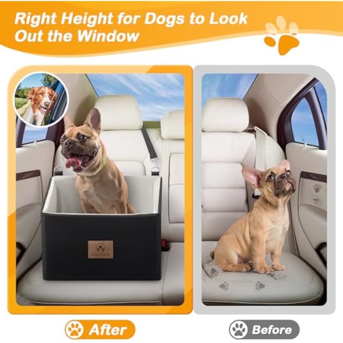 Jolof Store Medium Dog Car Seat – Elevated Booster Bed with Safety Belt