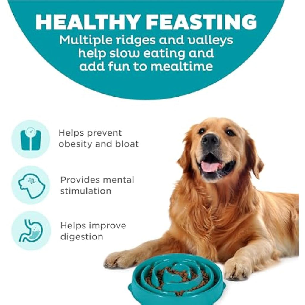 Outward Hound Slow Feeder Dog Bowl | Large Turquoise Fun Feeder