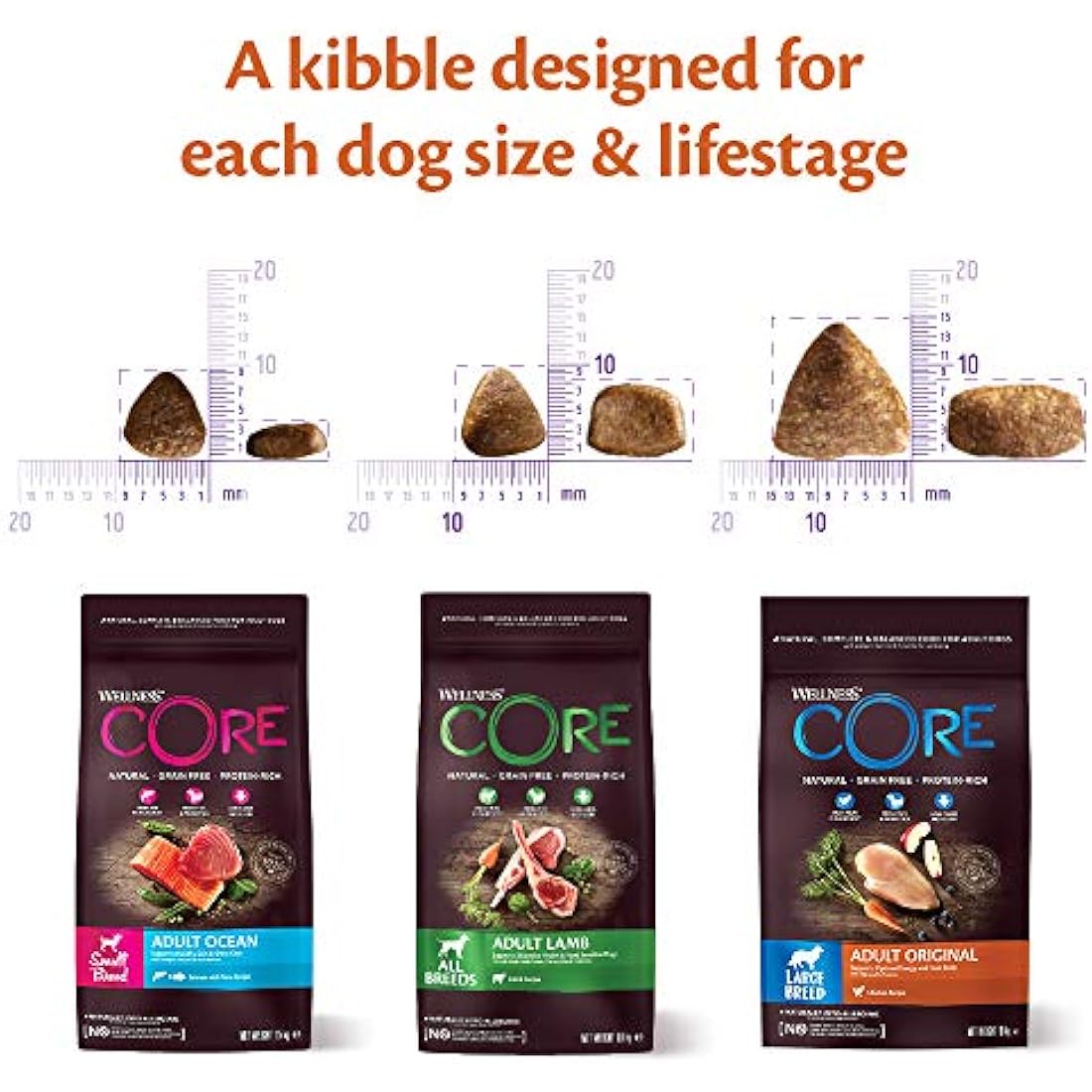 Wellness CORE Grain-Free Lamb Dry Dog Food - High Protein, 10kg