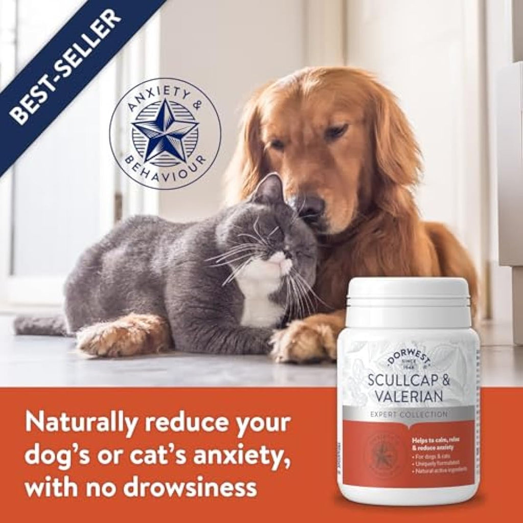 Dorwest Herbs Scullcap & Valerian Calming Tablets for Dogs & Cats, 200ct