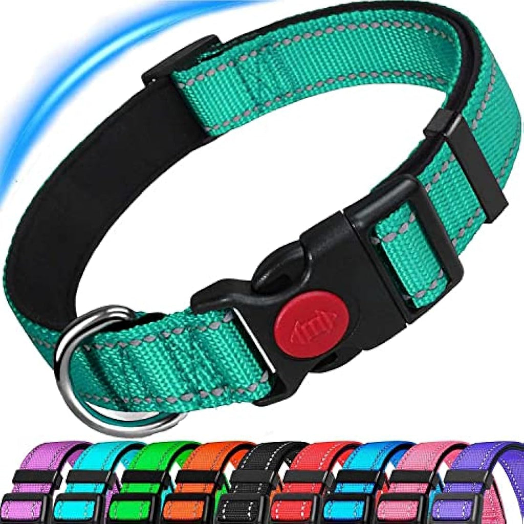 Reflective Dog Collar – Padded Durable Nylon Pet Collar