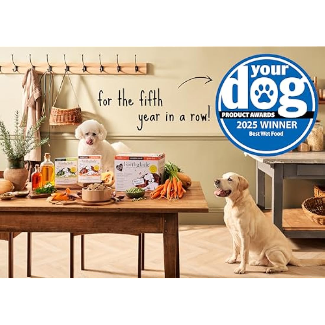Forthglade Senior Wet Dog Food – Grain Free Turkey & Veg (18 x 395g)