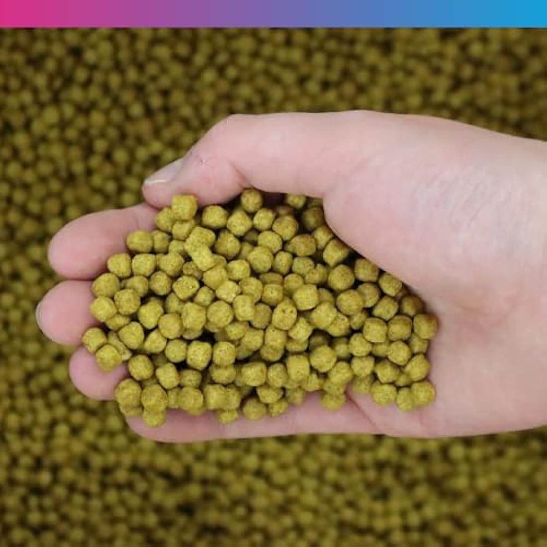 NT Labs Medikoi Health Pond Fish Food with Propolis - 3kg (6mm)