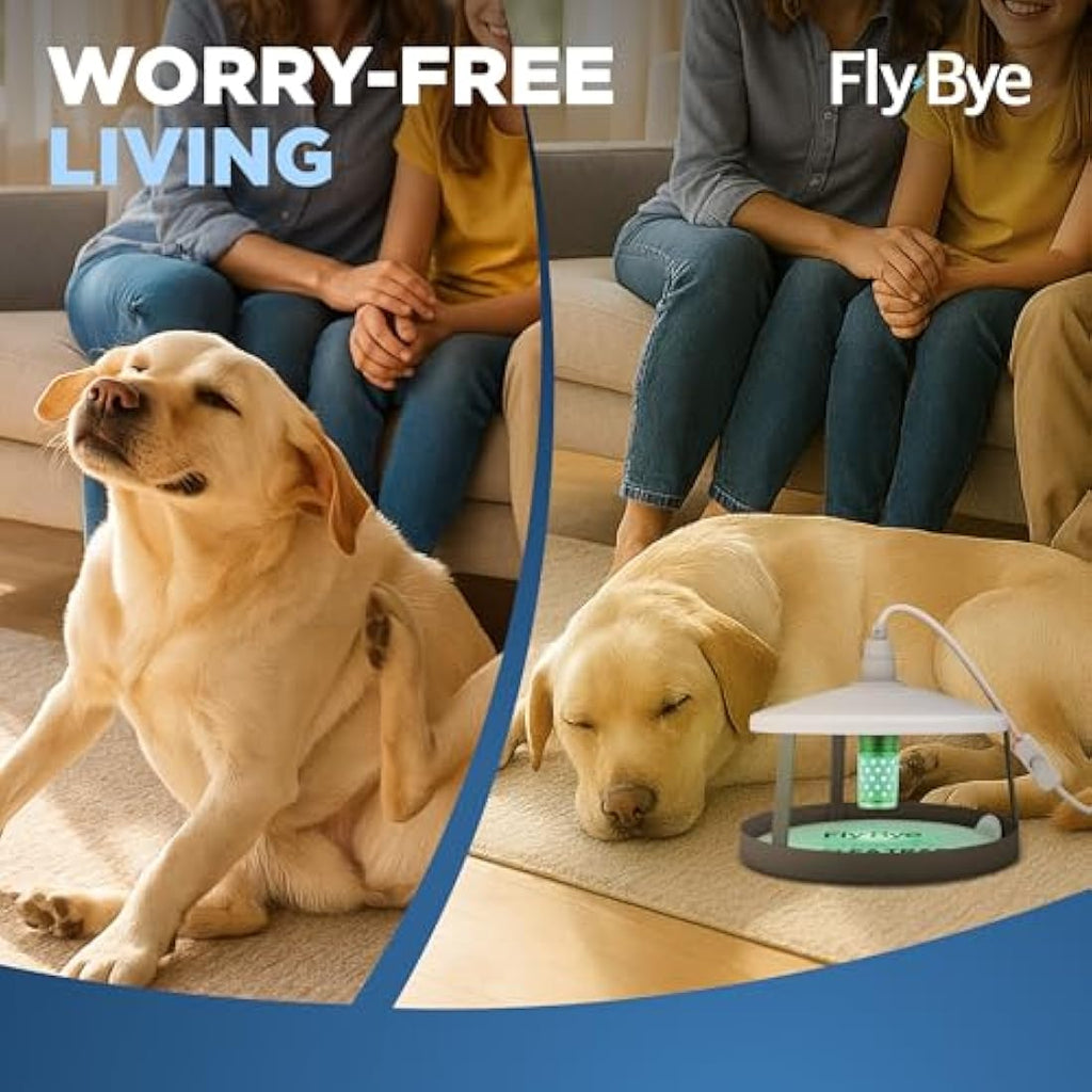 Fly-Bye Flea Trap Sticky Discs – 24 Pack Non-Toxic Refill Pads