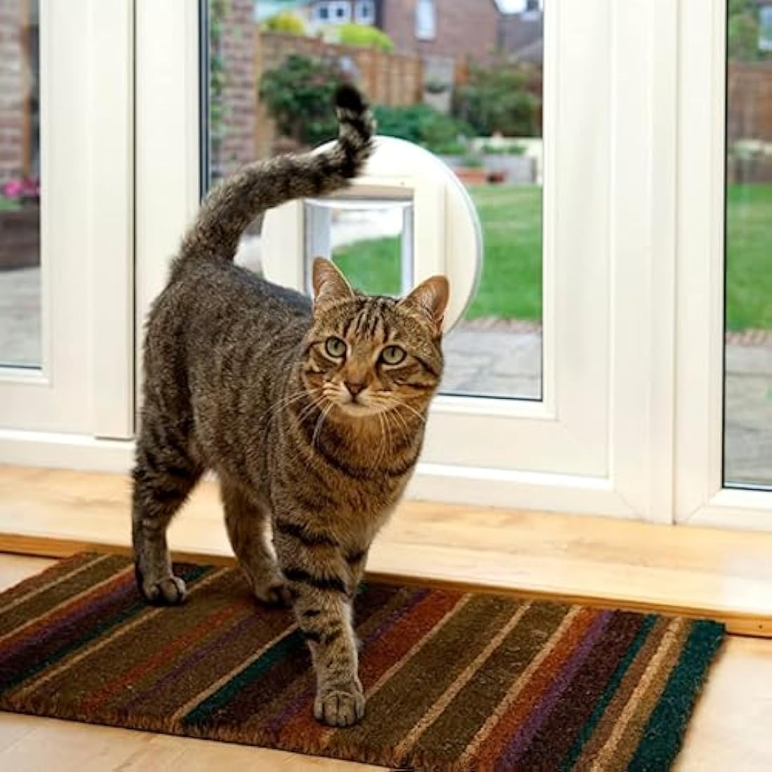 Sure Petcare Microchip Cat Flap – RFID Selective Entry Pet Door, White