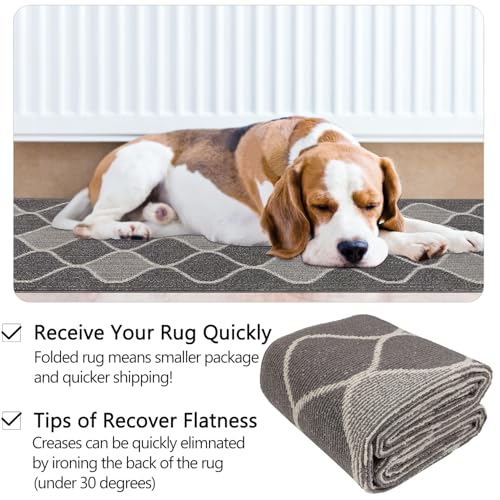 Cekene Non-Slip Hallway Carpet Runner - 65x300cm Washable Kitchen Rug