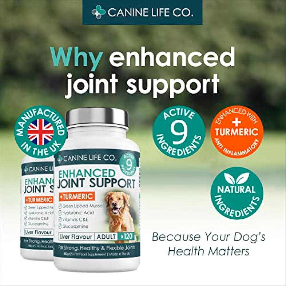 Canine Life Co. Dog Joint Supplement - Glucosamine & Turmeric - 300 Tablets