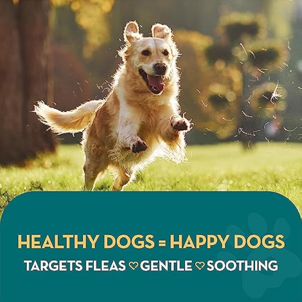 The Healthy Dog and Cat Co. Natural Flea Shampoo – Vegan Quassia Wash