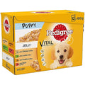 Pedigree Junior Wet Puppy Food Mixed Selection in Jelly, 12 x 100g