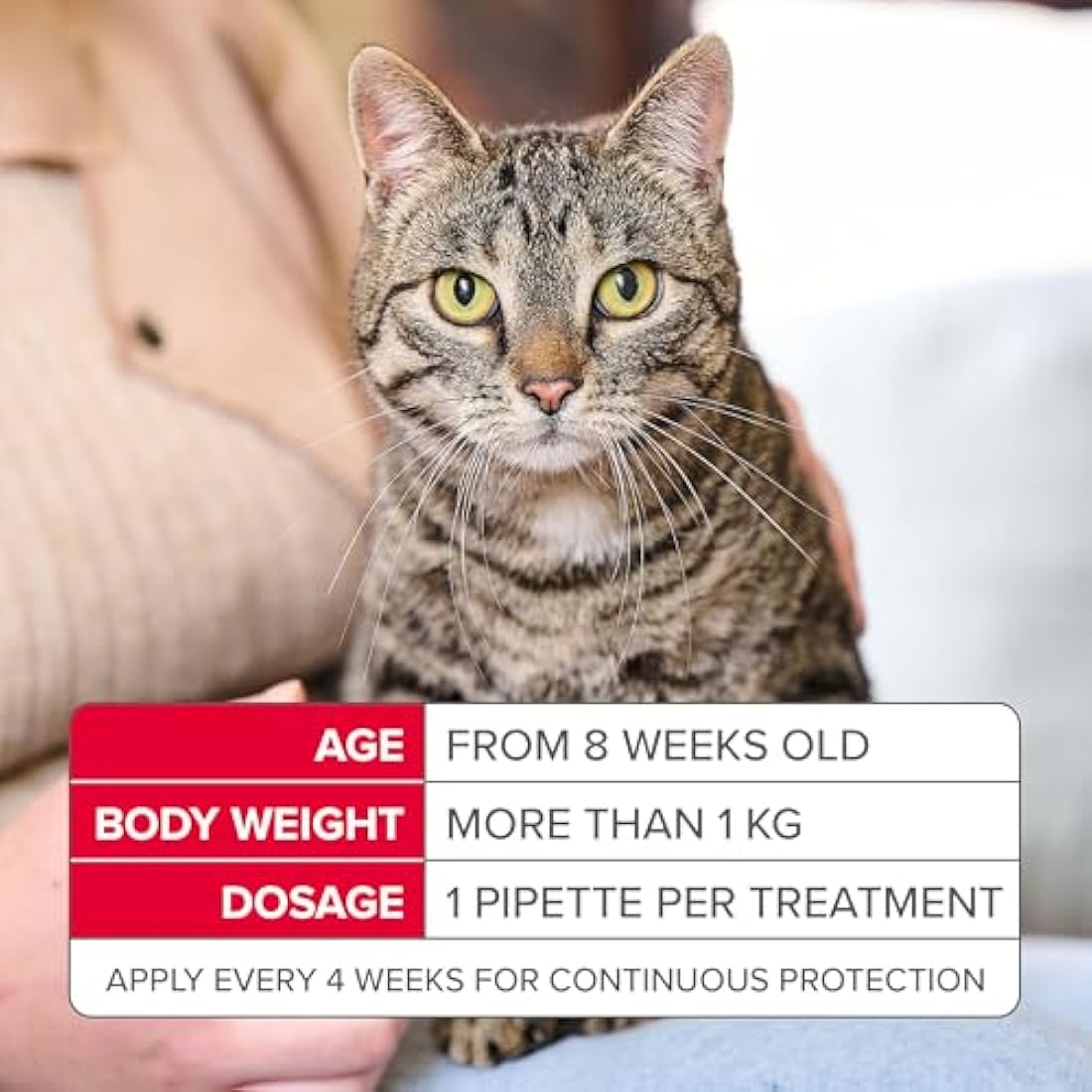 Beaphar FIPROtec COMBO Cat Flea & Tick Treatment - 3 Pipettes