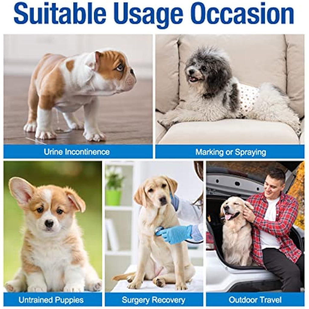 Pet Soft Disposable Male Dog Wraps - XS Pack of 20 Super Absorbent Nappies