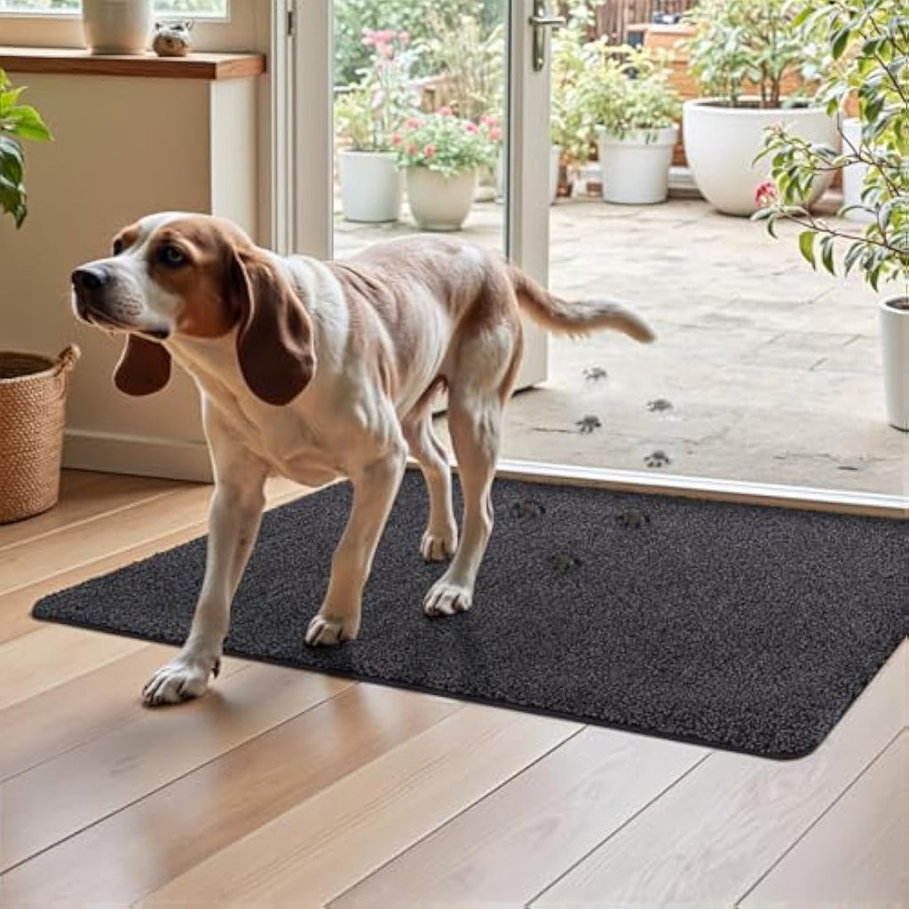 DEXI Dirt Trapper Indoor Door Mat – Absorbent Non-Slip Rug, 60x90cm