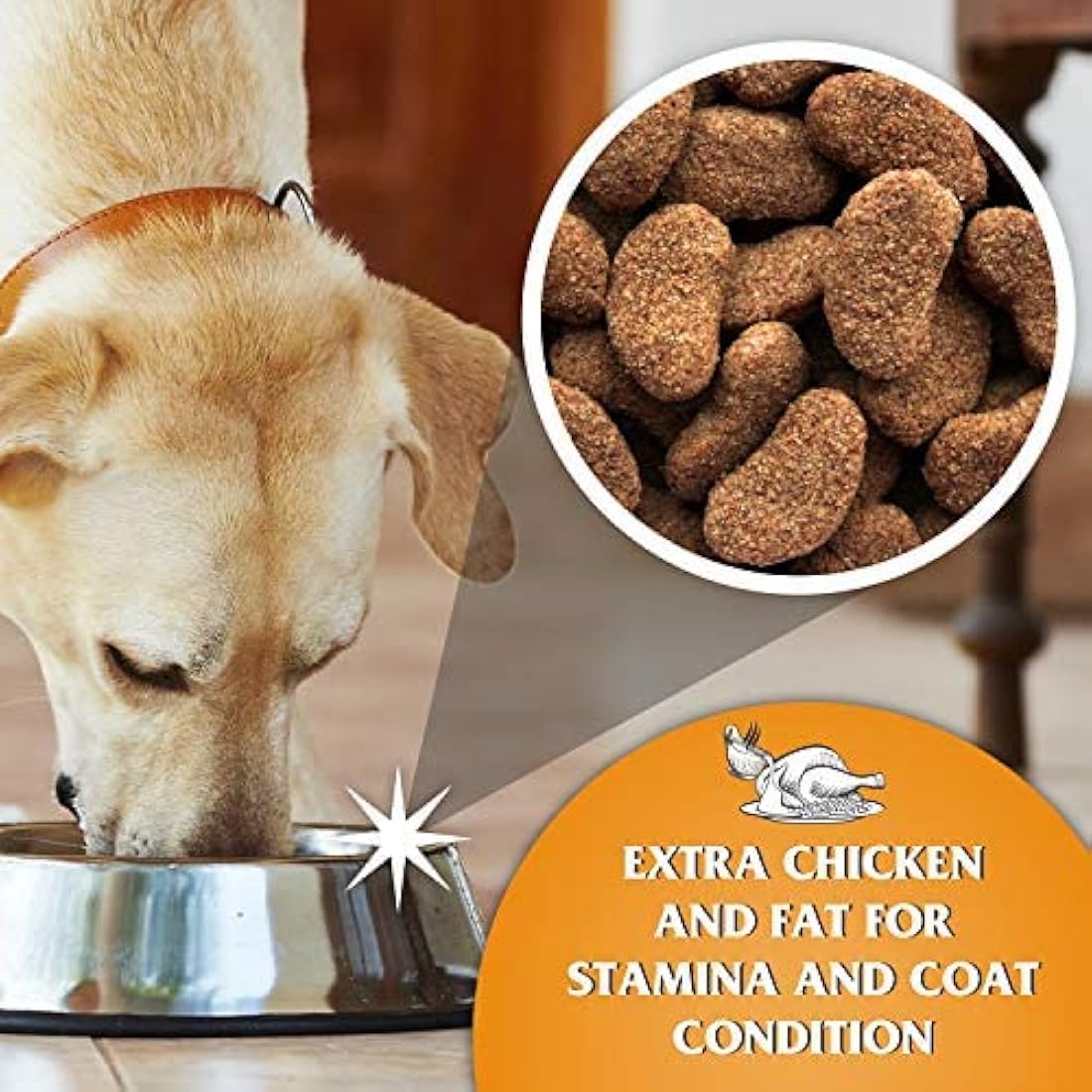 Dr John Gold Chicken & Vegetables Dry Dog Food - 15kg Complete Diet