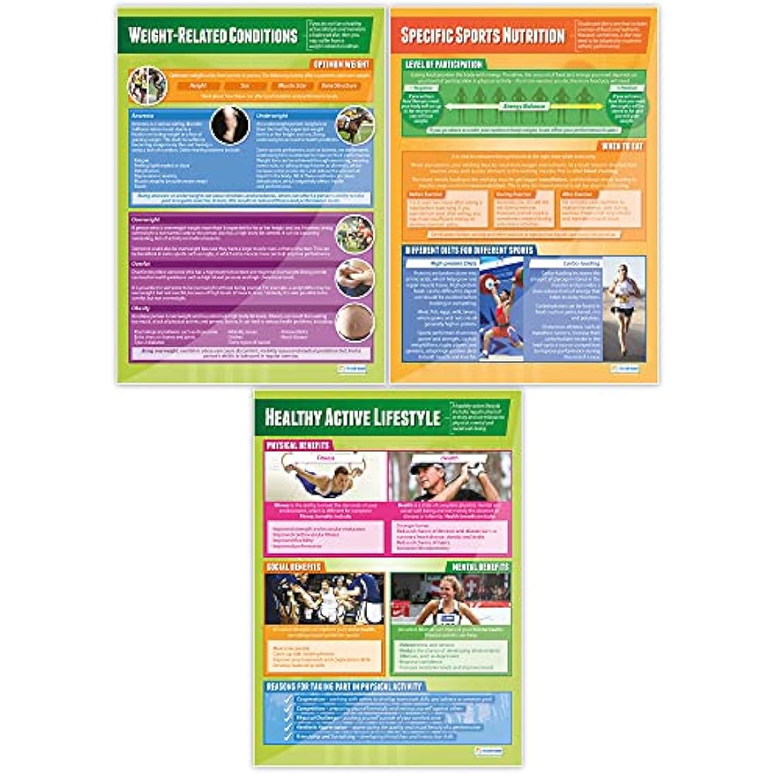 Health & Fitness PE Posters | Set of 5 Laminated A1 Classroom Charts