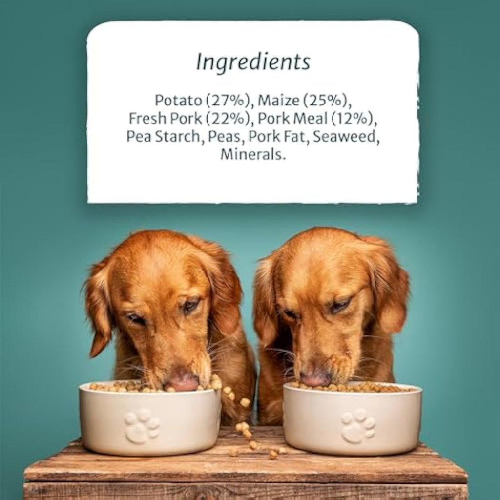 Burns Pet Nutrition Pork & Potato Hypoallergenic Dry Dog Food - 12kg