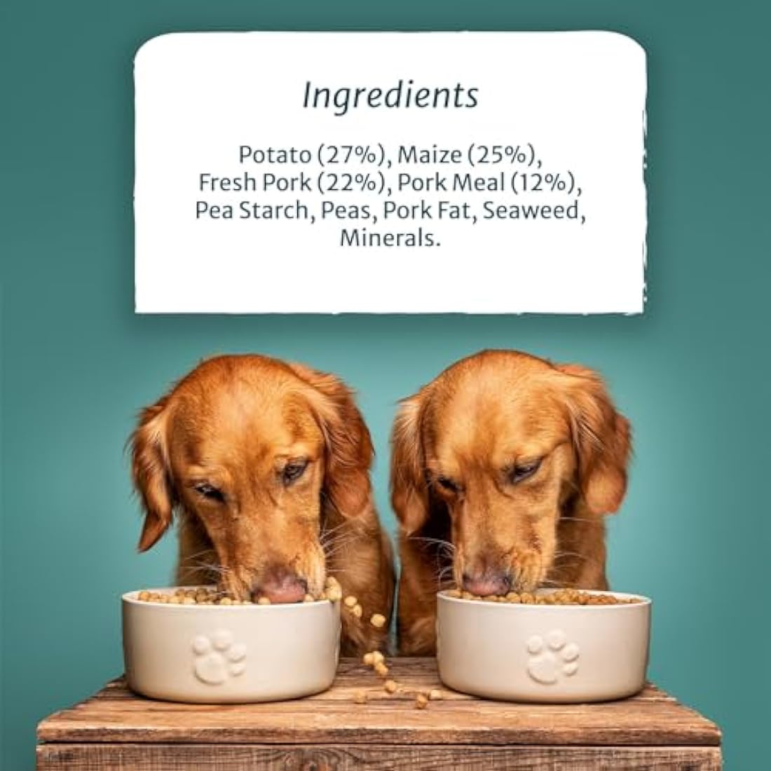 Burns Pet Nutrition Pork & Potato Hypoallergenic Dry Dog Food - 6kg