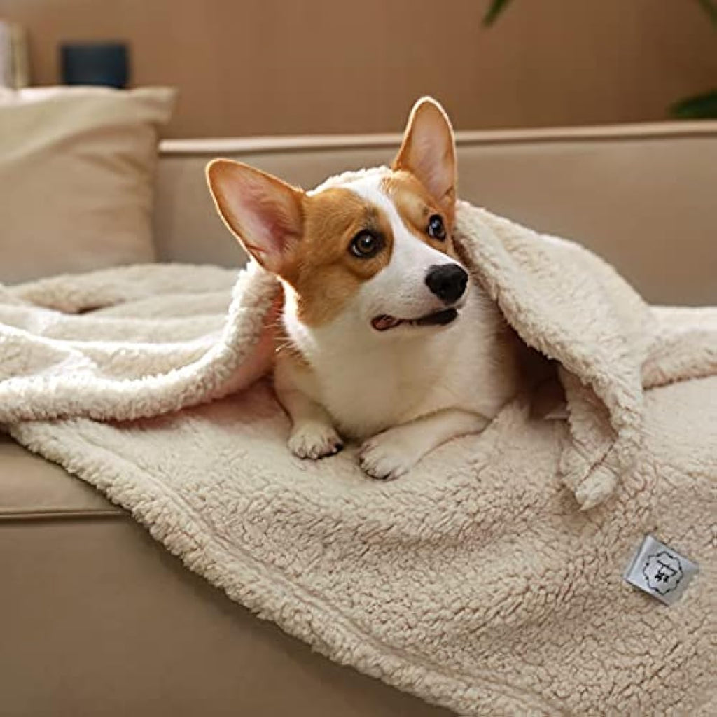 Luciphia Soft Fleece Pet Blankets - 3 Pack Fluffy Dog Throw, Beige, Large