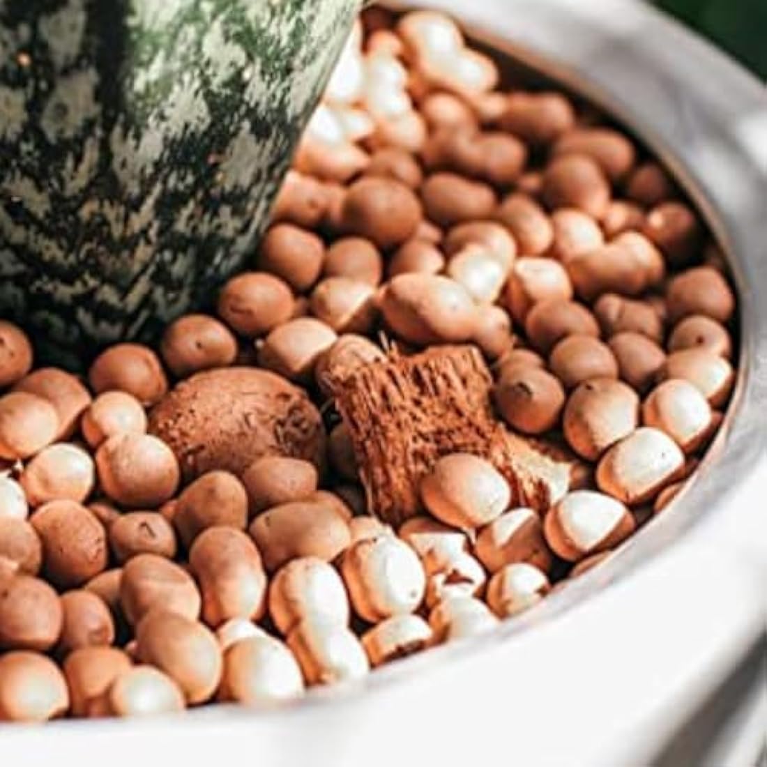 Clay Pebbles for Hydroponics - Eco-Friendly Growing Medium (1L)