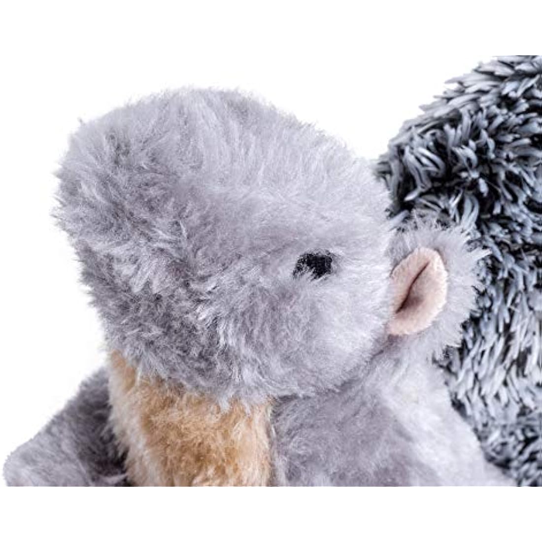 Petface Cyril Squirrel Plush Dog Toy – Squeaky Interactive Pet Toy