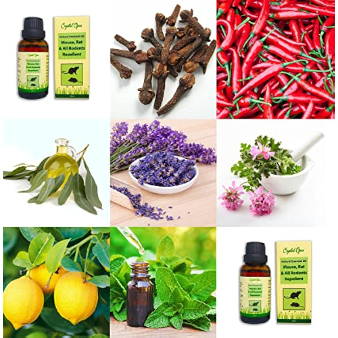 Natural Rodent Repellent Spray – Peppermint Oil Concentrate