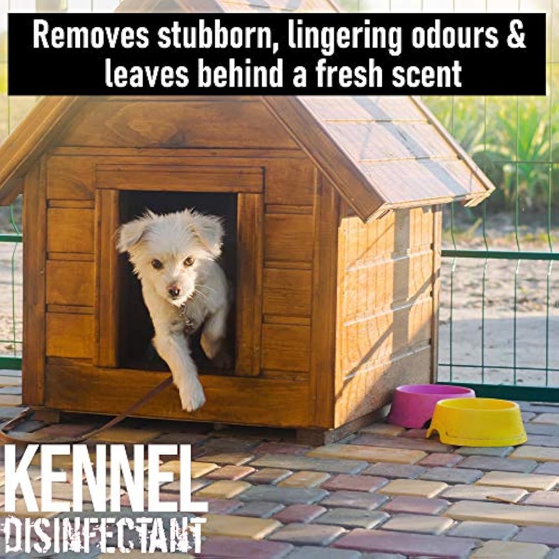 Jolof Store ULTIMA-PLUS XP Kennel Kleen Lavender Disinfectant - 5L