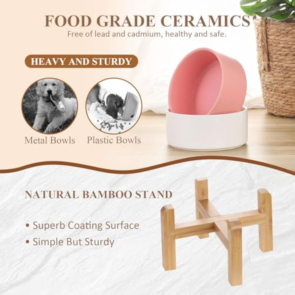 Elevated Ceramic Dog Bowls – Raised Anti-Vomiting Set of 2