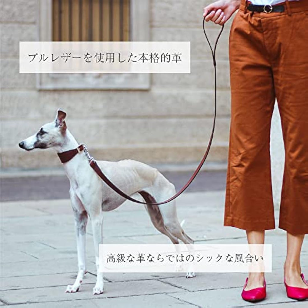 Ferplast VIP G20/150 Bull Leather Dog Lead | Durable Brown Leash