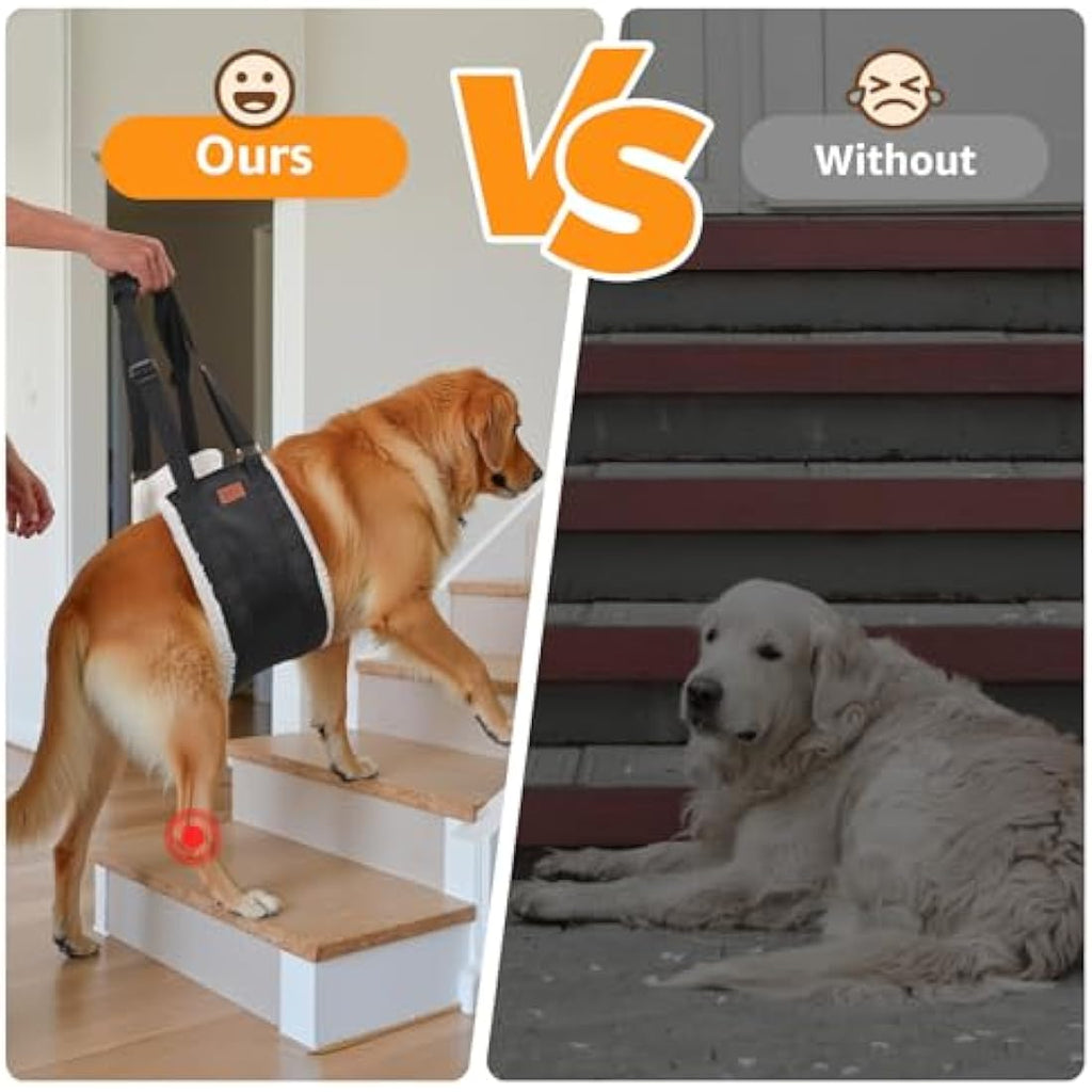 Dog Lifting Harness | Rear Leg Support Sling for Rehab – XL