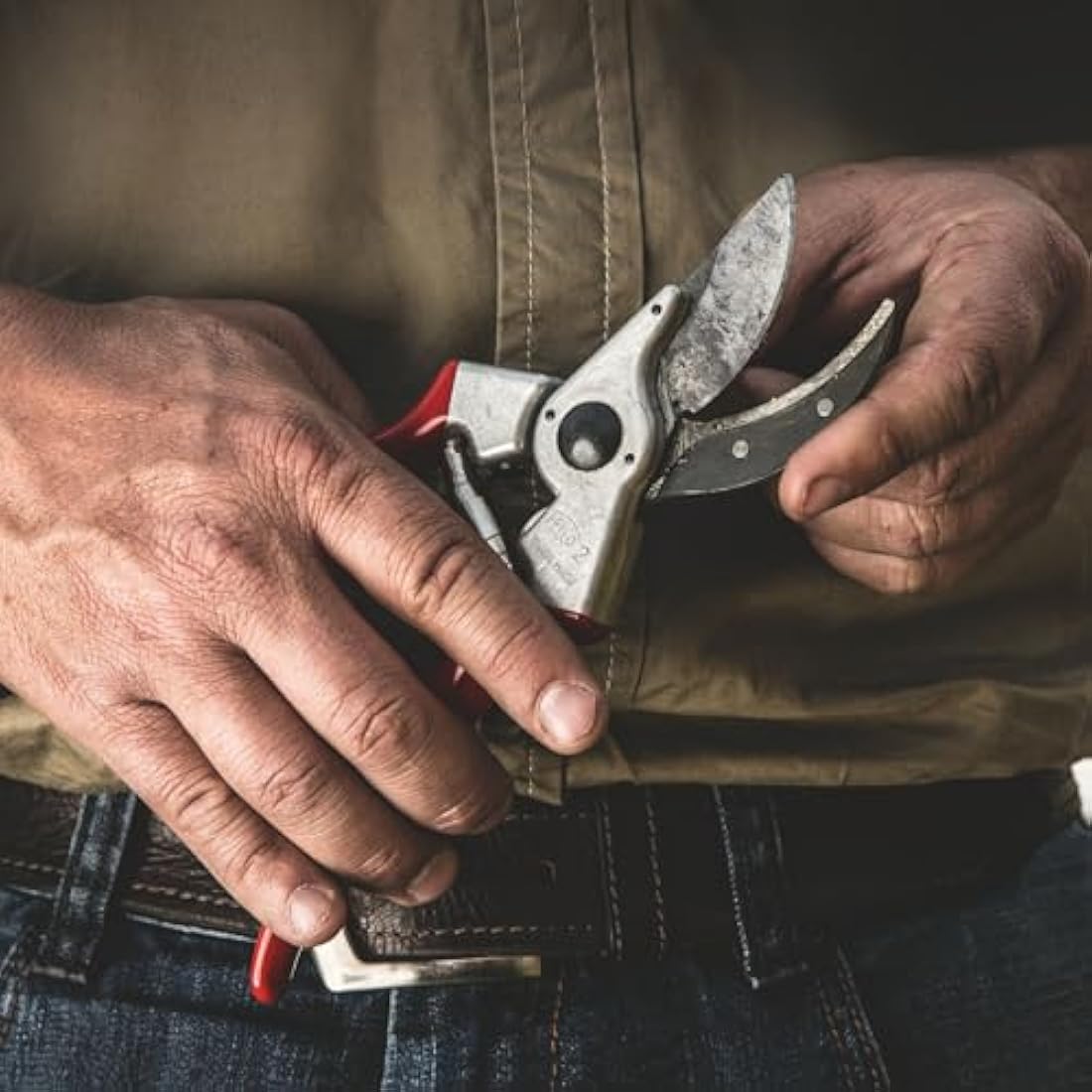 FELCO 2 Pruning Secateurs – Heavy Duty Steel Shears for Large Hands