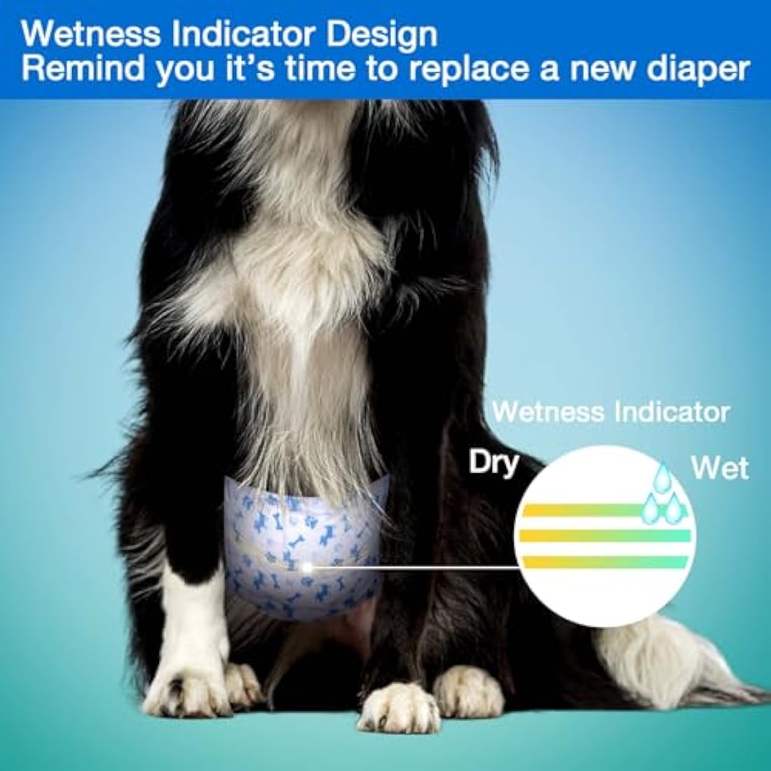 Pet Soft Male Dog Nappies | Disposable Absorbent Wraps | Large 50 Count