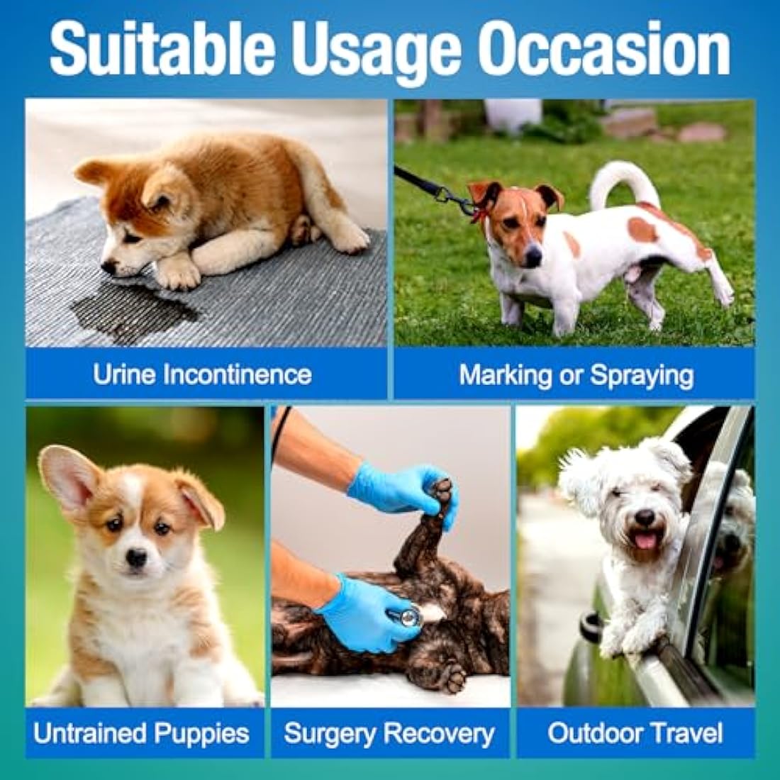 Pet Soft Male Dog Nappies | Disposable Absorbent Wraps | Large 50 Count