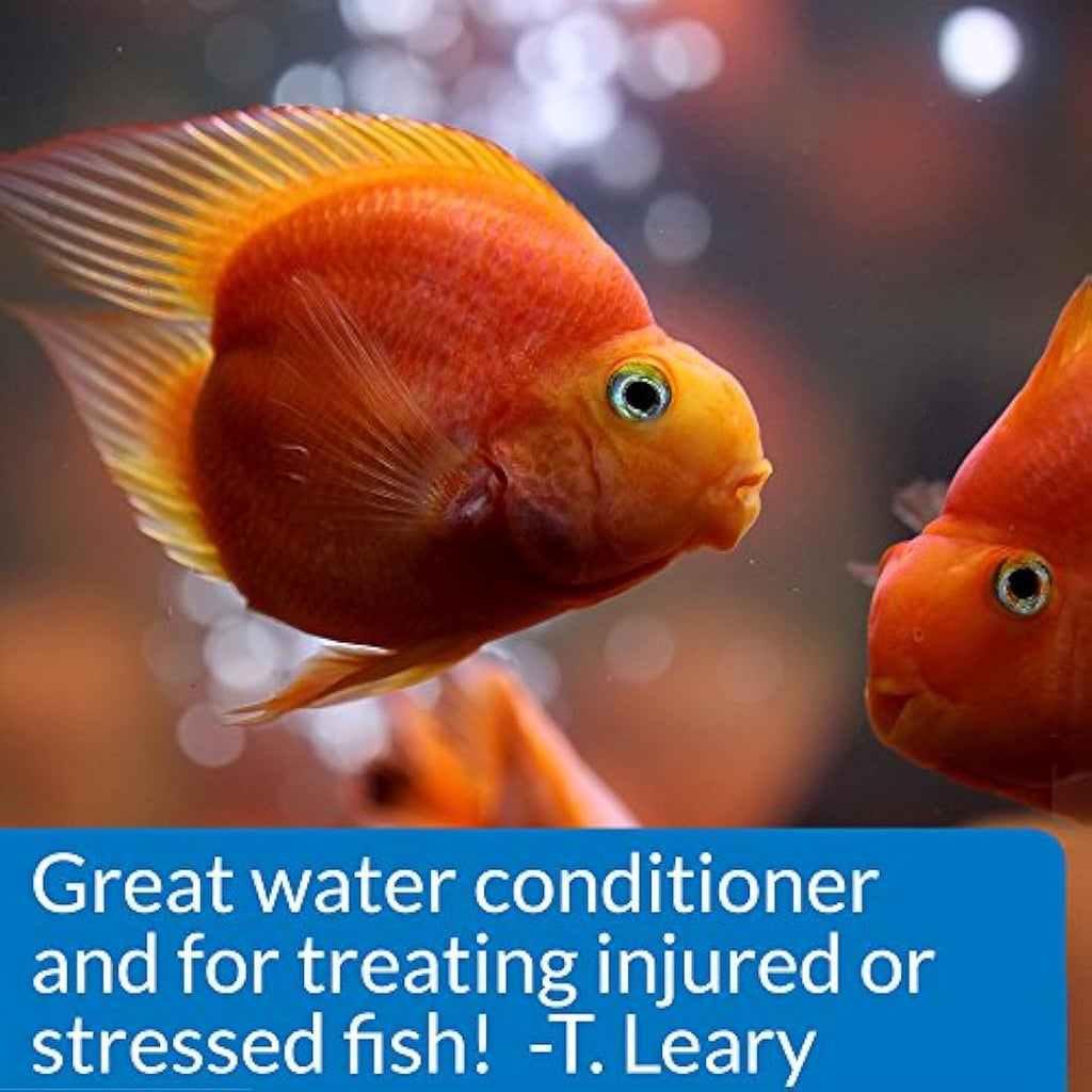 API Stress Coat Aquarium Water Conditioner with Aloe Vera - 473 ml