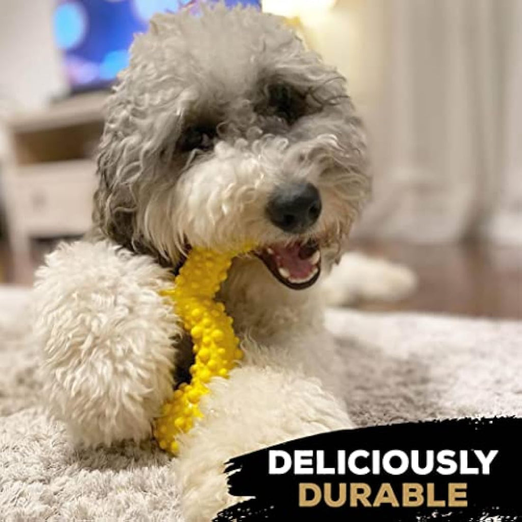 TastyBone TrioBone Nylon Dog Chew Toy for Small Dogs | Chicken Flavor