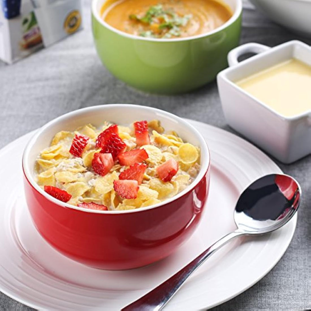 LIFVER 20oz Porcelain Soup Bowls – 4 Pack Multicolour Cereal Bowls