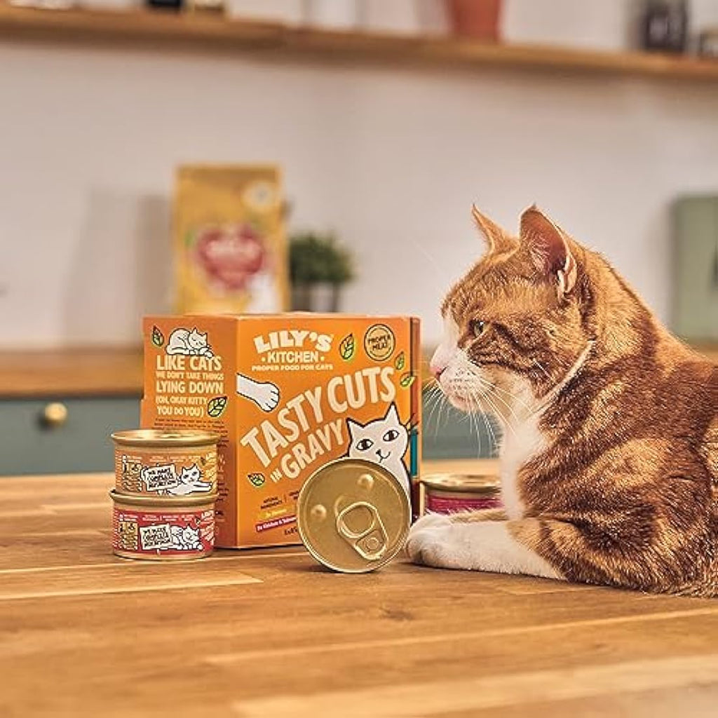 Lily's Kitchen Grain-Free Chicken Wet Cat Food in Gravy - 24 x 85g