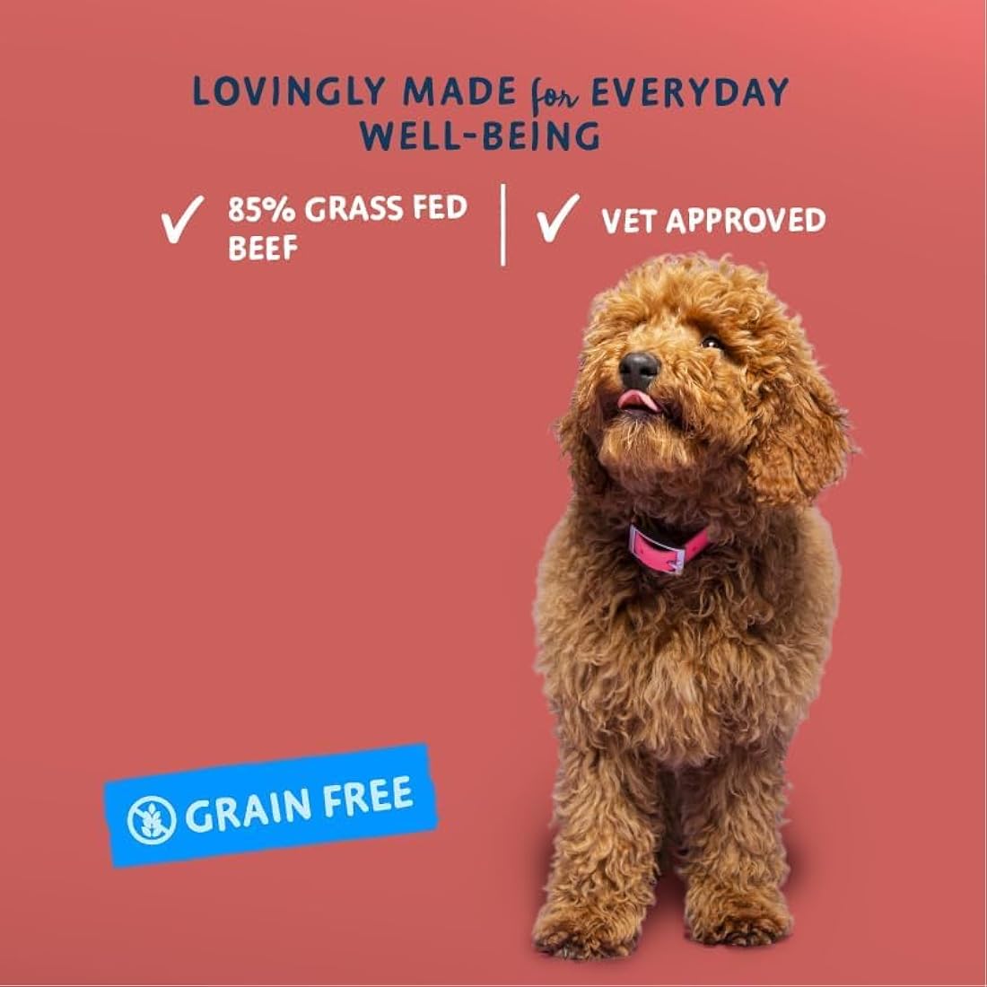 Barking Heads Beef Waggington Grain-Free Wet Dog Food - 10 x 300g