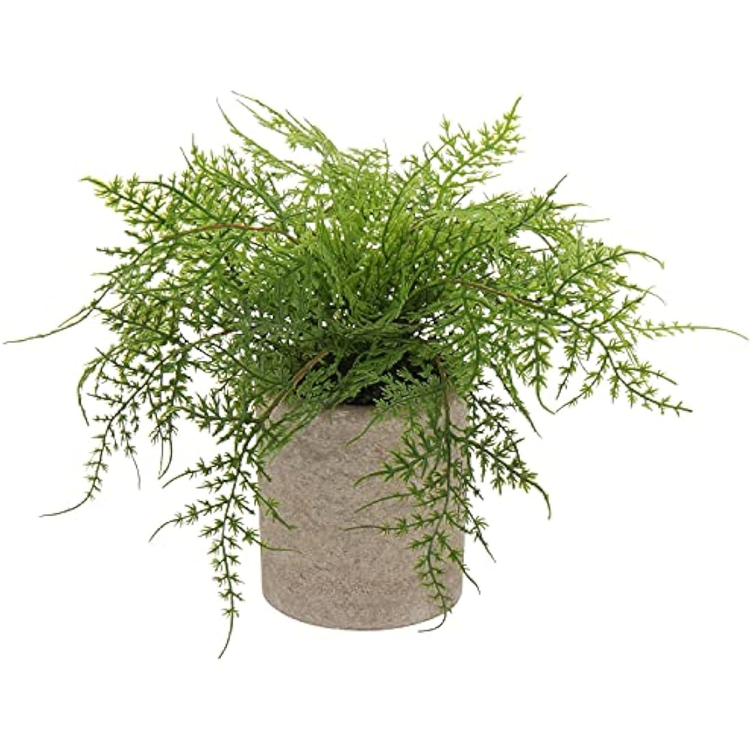 Artificial Potted Asparagus Fern – Small Faux Desk Plant