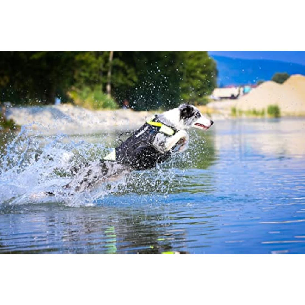 Julius-K9 IDC 3-in-1 Dog Vest | Swimming, Rehab & Winter Coat - Black