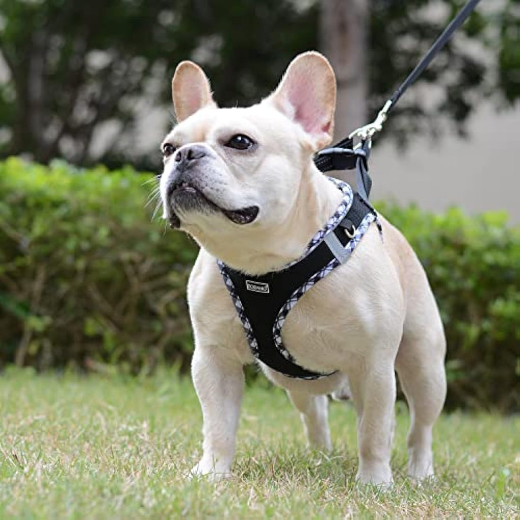 DORAMIO Step-in Dog Harness and Leash Set | Reflective Mesh Vest – XL
