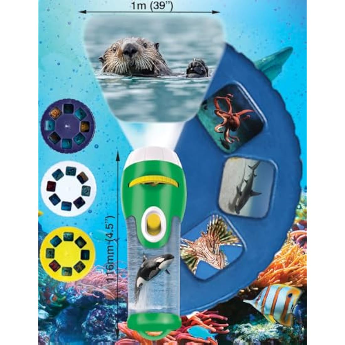 Natural History Museum Sea Creatures STEM Torch & Projector Toy