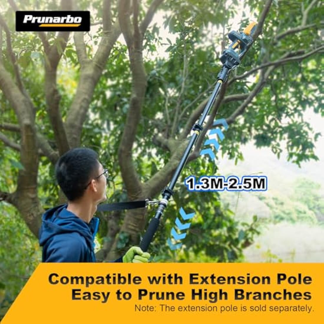 Prunarbo Telescopic Extension Pole for Electric Pruners, 4.2-8.2 ft Aluminum