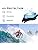 Swim Goggles – 2 Pack Anti-Fog Leak-Proof Swimming Goggles