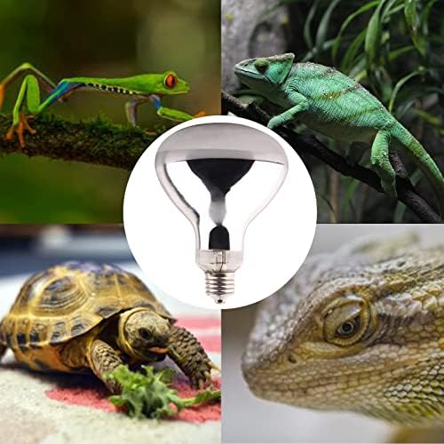 DERNORD 100W Mercury Vapour Bulb | UVA UVB Reptile Basking Heat Lamp