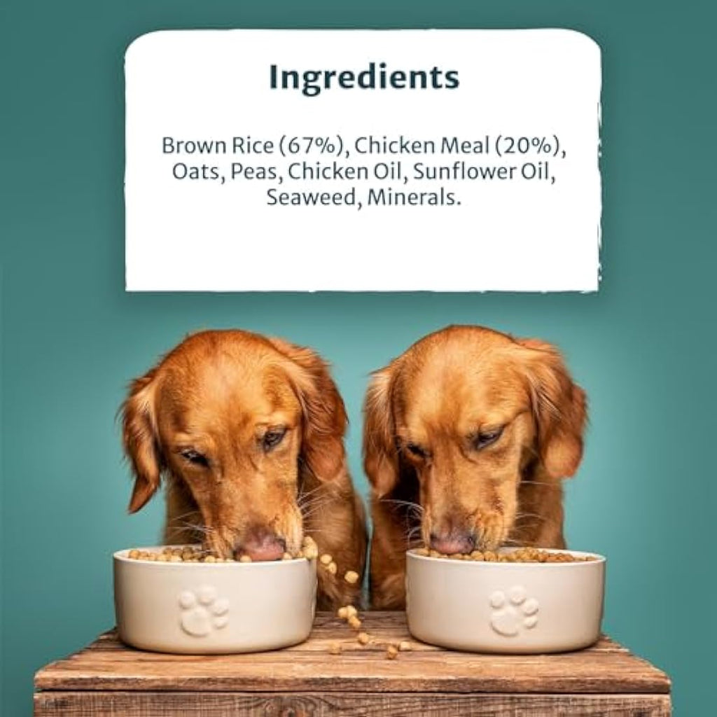 Burns Hypoallergenic Dry Dog Food – Chicken & Brown Rice – 6kg