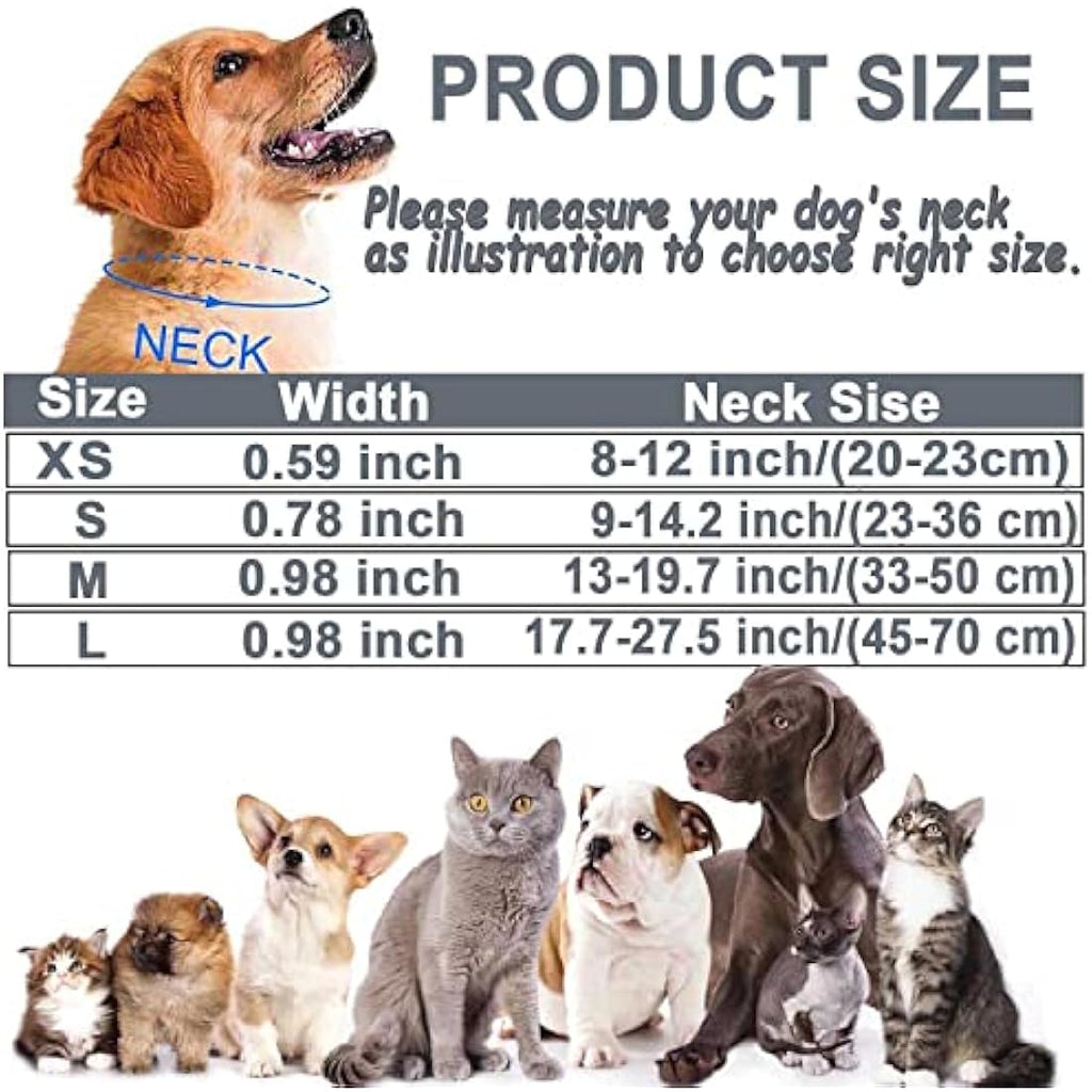 Reflective Dog Collar – Padded Durable Nylon Pet Collar