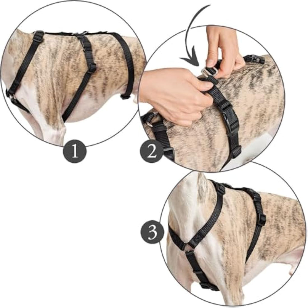 HUNTER Escape-Proof Dog Harness Vario Rapid | Brown Nylon – Large