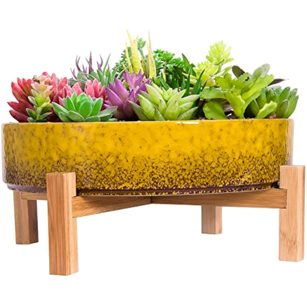 Artketty 29cm Ceramic Bonsai Pot with Stand | Large Succulent Planter