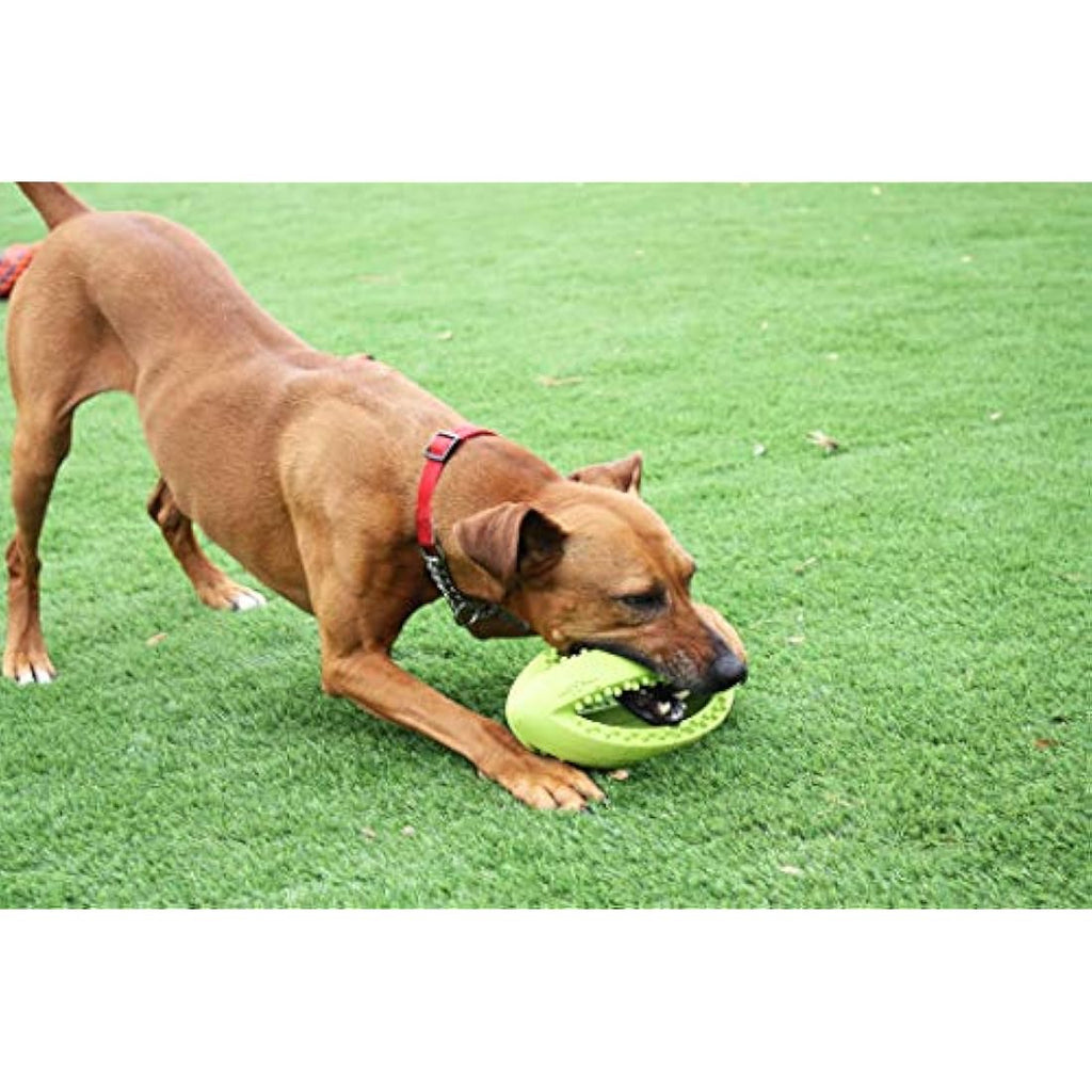 Grubber Rugby Ball Dog Toy – Durable Interactive Fetch Toy